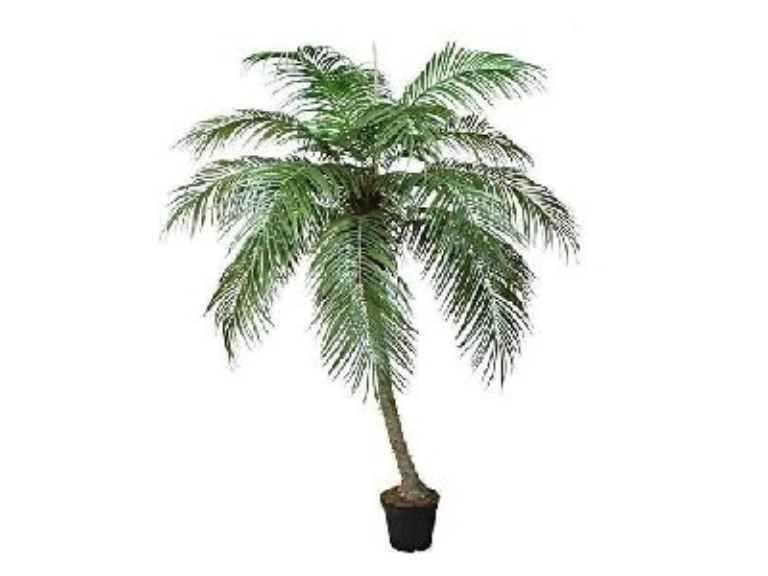 Date Palm Artificial Tree