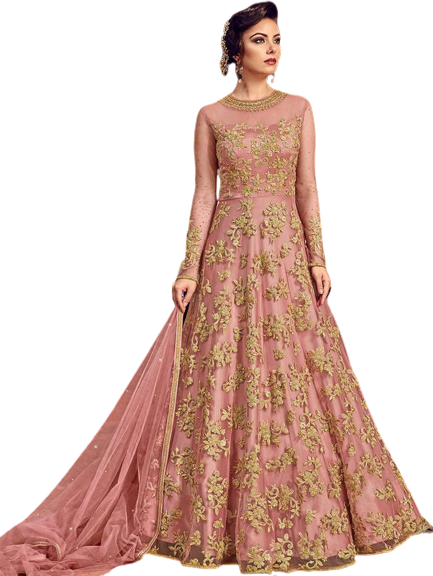 Heavy Embrodried Georgette Gowns