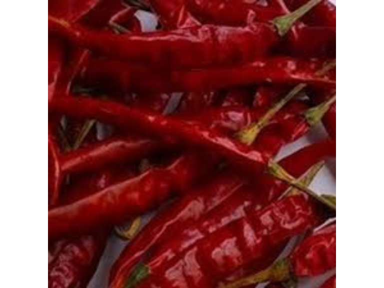 Hot Teja Red chilli