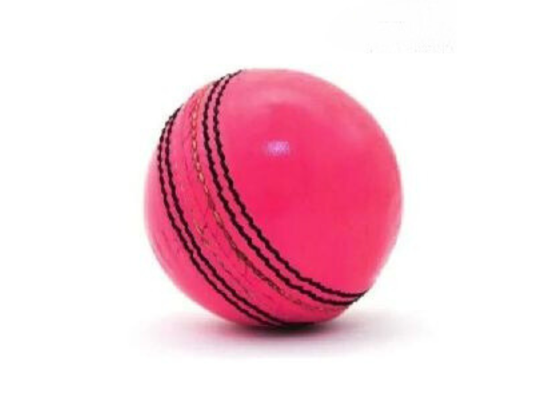  156g Red Leather Cricket Ball