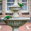 Bird Baths, Fountains & Fountain Accessories