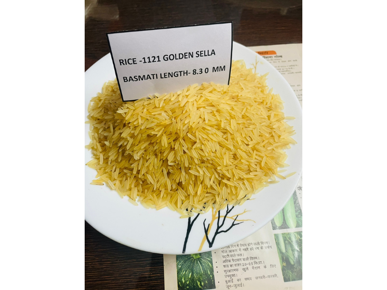 Rice 1121 Golden Sella 