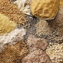 Food Grains, Cereals & Flour