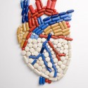 Cardiovascular Medication & Drugs